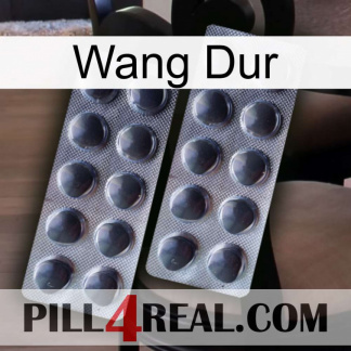 Hard Wang 31